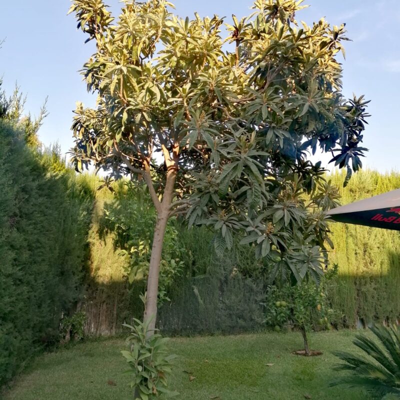 WhatsApp Image 2023-10-20 at 2.31.16 AM (3)